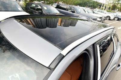 2024款 P250 R-Dynamic HSE-外观-图片-有驾