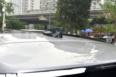 2024款 P250 R-Dynamic HSE-外观-图片-有驾