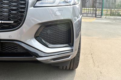 2024款 P250 R-Dynamic HSE-外观-图片-有驾