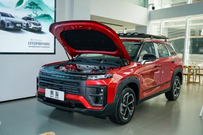 2025款 1.6T 四驱发现版-外观-图片-有驾