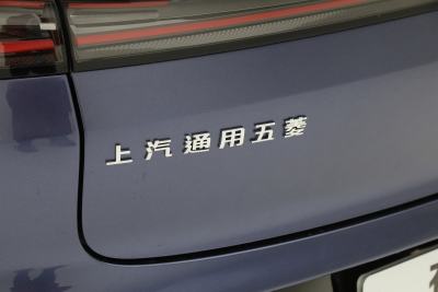 2025款 纯电 600km豪华版-外观-图片-有驾
