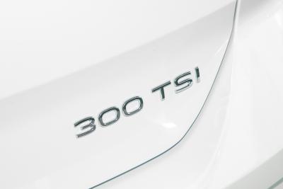 2025款 改款 300TSI DSG两驱辰光版-外观-图片-有驾