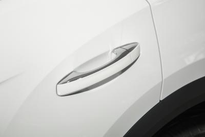 2025款 改款 300TSI DSG两驱辰光版-外观-图片-有驾