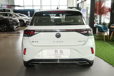 2025款 改款 300TSI DSG两驱辰光版-外观-图片-有驾