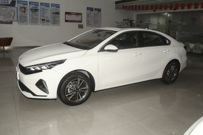 2024款 1.5L CVT舒适优享版-外观-图片-有驾