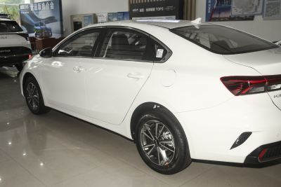 2024款 1.5L CVT舒适优享版-外观-图片-有驾