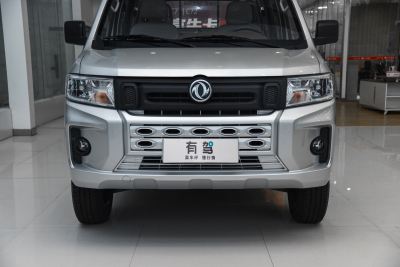 2021款 1.6L LV0真牛版-外观-图片-有驾