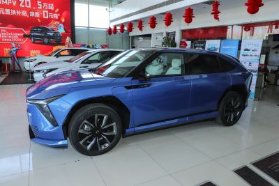 2025款 领航者版-外观-图片-有驾