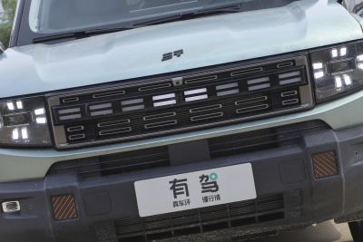 2025款 220km XWD征服-外观-图片-有驾