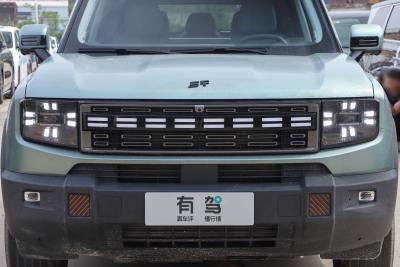 2025款 220km XWD征服-外观-图片-有驾