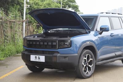2025款 220km XWD征服-外观-图片-有驾