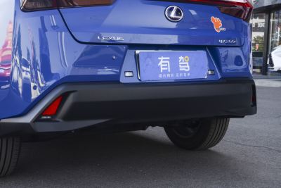2020款 300e 纯·悦版-外观-图片-有驾
