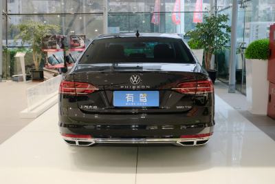 2021款 380TSI 尊贵版-外观-图片-有驾