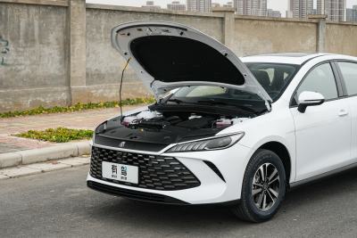 2026款 DM-i 210KM进取型-外观-图片-有驾