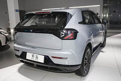 2025款 425 MAX-外观-图片-有驾