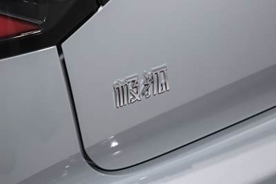 2025款 425 MAX-外观-图片-有驾