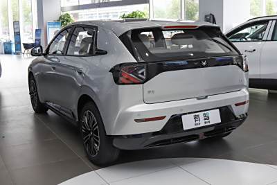 2025款 425 MAX-外观-图片-有驾