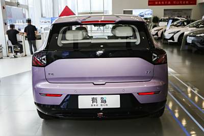 2025款 425 MAX-外观-图片-有驾