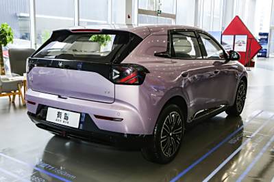 2025款 425 MAX-外观-图片-有驾