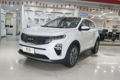 2021款 1.6T 自动四驱豪华版-外观-图片-有驾