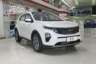 2021款 1.6T 自动四驱豪华版-外观-图片-有驾