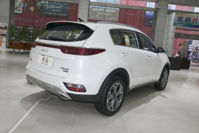 2021款 1.6T 自动四驱豪华版-外观-图片-有驾