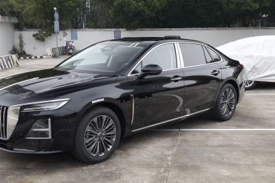 2026款 2.0T 自动旗领Pro版-外观-图片-有驾