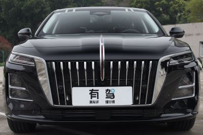 2026款 2.0T 自动旗领Pro版-外观-图片-有驾