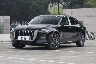 2026款 2.0T 自动旗领Pro版-外观-图片-有驾