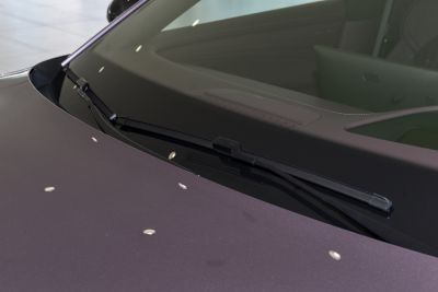 2026款 Max-外观-图片-有驾