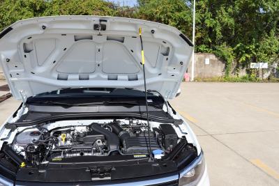 2026款 300TSI DSG尊行版-外观-图片-有驾