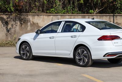 2026款 300TSI DSG尊行版-外观-图片-有驾