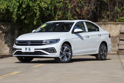 2026款 300TSI DSG尊行版-外观-图片-有驾