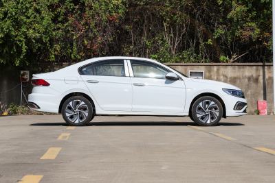 2026款 300TSI DSG尊行版-外观-图片-有驾