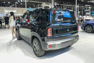 2026款 501km智尊版-外观-图片-有驾
