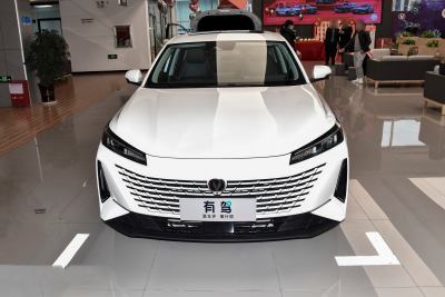 2023款 蓝鲸NE 1.5T GDI DCT旗舰型-外观-图片-有驾