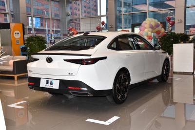 2023款 蓝鲸NE 1.5T GDI DCT旗舰型-外观-图片-有驾