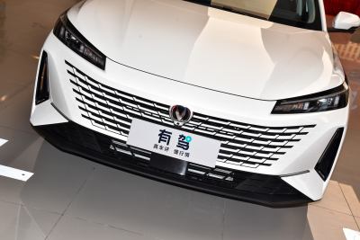 2023款 蓝鲸NE 1.5T GDI DCT旗舰型-外观-图片-有驾