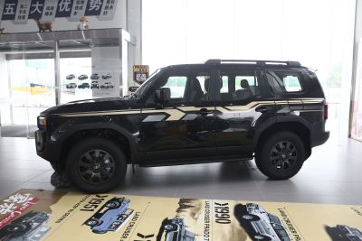 2025款 2.4T 悍野WX版 5座-外观-图片-有驾