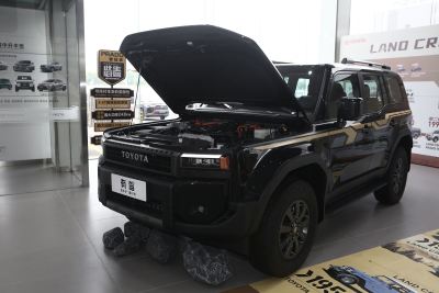 2025款 2.4T 悍野WX版 5座-外观-图片-有驾