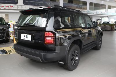 2025款 2.4T 悍野WX版 5座-外观-图片-有驾