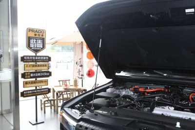 2025款 2.4T 悍野WX版 5座-外观-图片-有驾