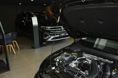 2025款 改款 300TSI Pro-外观-图片-有驾