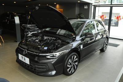 2025款 改款 300TSI Pro-外观-图片-有驾