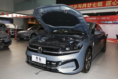 2024款 380TSI DSG尊贵版-外观-图片-有驾