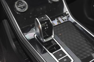 2025款 卓越版 230TCI 自动豪华版 5座-内饰-图片-有驾
