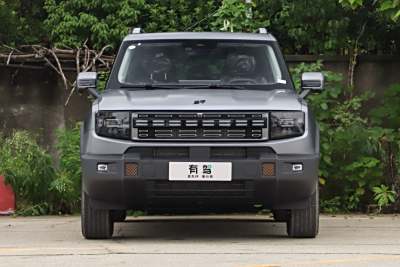 2025款 147km 四驱发现-外观-图片-有驾