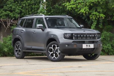 2025款 147km 四驱发现-外观-图片-有驾