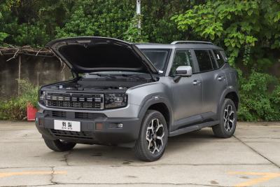 2025款 147km 四驱发现-外观-图片-有驾