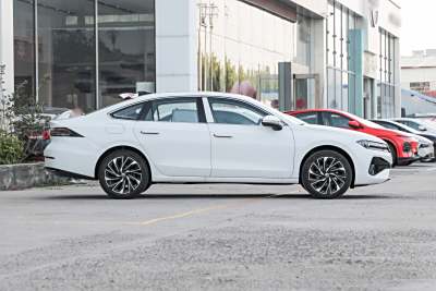 2026款 L 300TSI DSG 豪华型-外观-图片-有驾